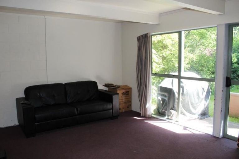 Photo of property in 63 Opoho Road, North East Valley, Dunedin, 9010