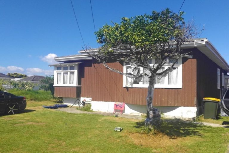 Photo of property in 129 Hall Avenue, Favona, Auckland, 2024