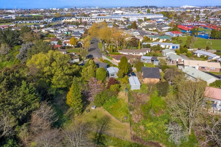 Photo of property in 29 Olwyn Terrace, Dinsdale, Hamilton, 3204