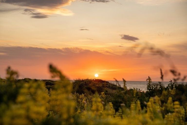 Photo of property in 1 Ngapotiki Street, Paraparaumu Beach, Paraparaumu, 5032