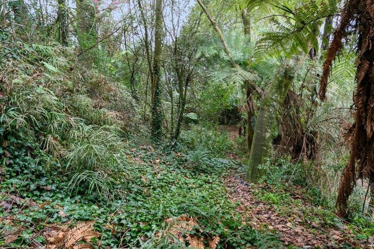 Photo of property in 30 Freyberg Crescent, Putaruru, 3411