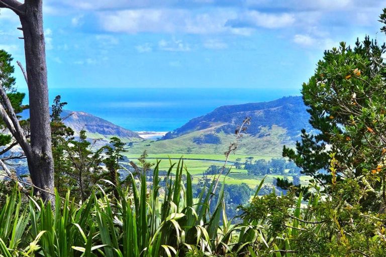 Photo of property in 416 Pinehill Road, Waimamaku, Kaikohe, 0473