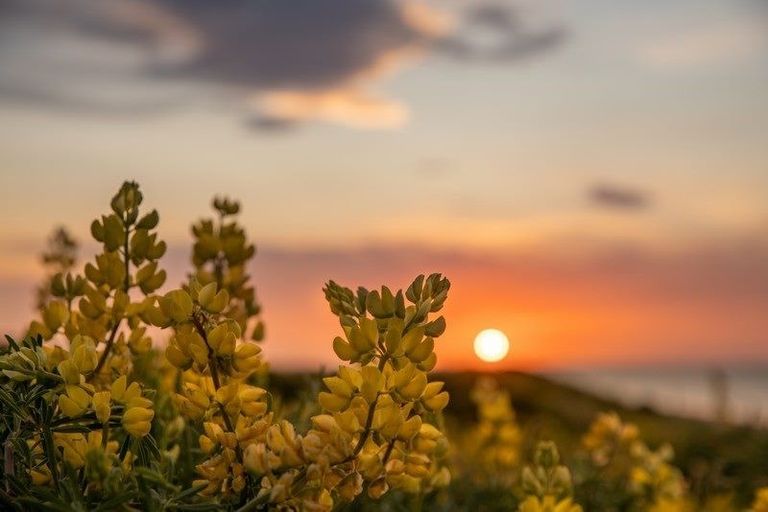 Photo of property in 1 Ngapotiki Street, Paraparaumu Beach, Paraparaumu, 5032