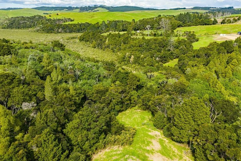 Photo of property in 308b Arapaoa Road, Tinopai, Matakohe, 0593