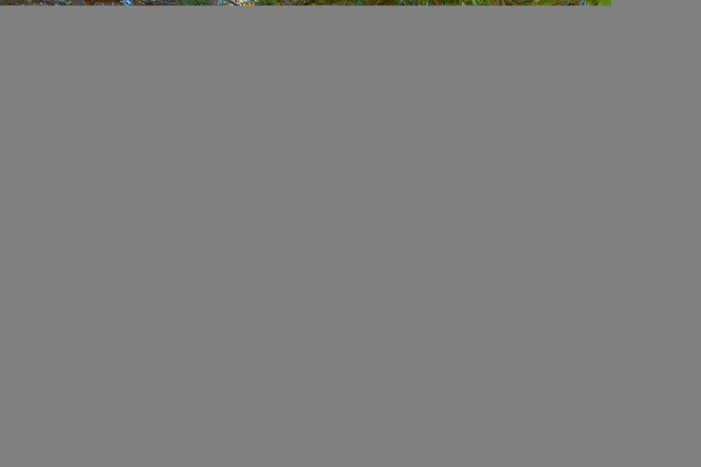 Photo of property in 1154 Te Akau Road South, Te Akau, Ngaruawahia, 3793
