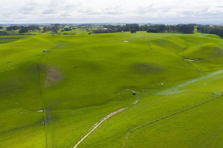 Photo of property in 234 Sandon Road, Feilding, 4779