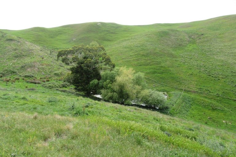 Photo of property in 263 Pourerere Road, Waipawa, 4271