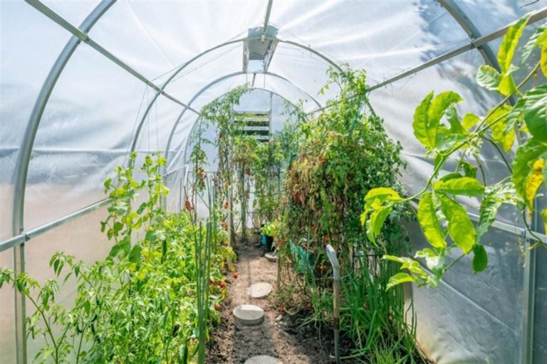 Photo of property in 35 Rolleston Drive, Rolleston, 7614