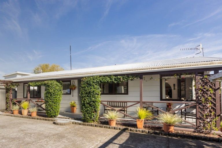 Photo of property in 1008b Konini Street, Mahora, Hastings, 4120