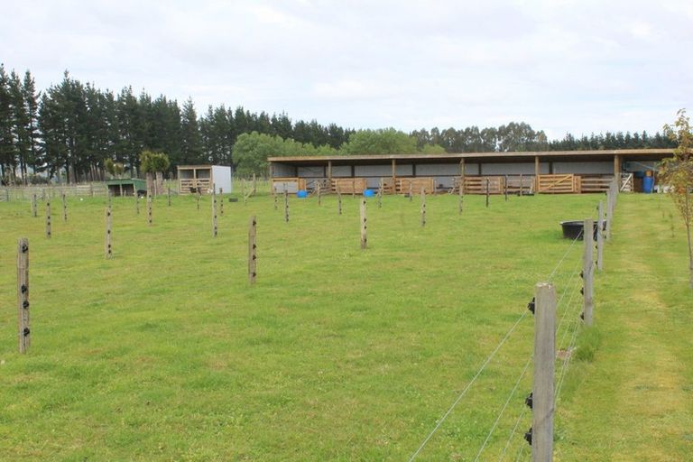Photo of property in 39 Laws Road, Dannevirke, 4972