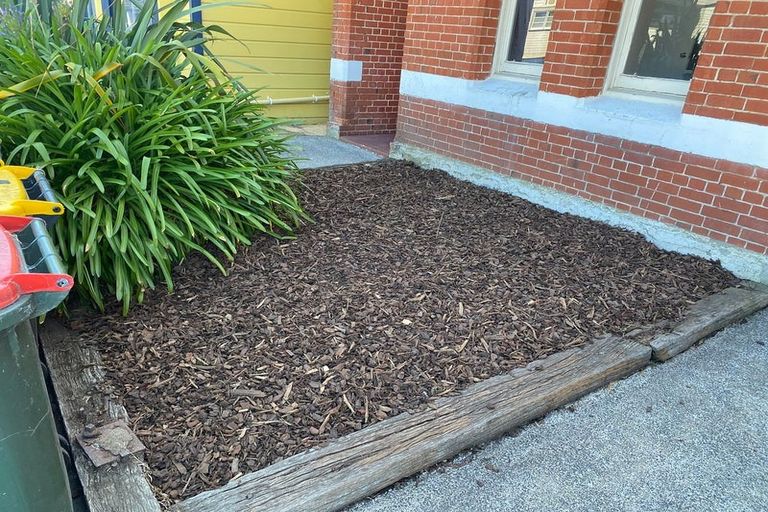 Photo of property in 8 Riego Street, North Dunedin, Dunedin, 9016