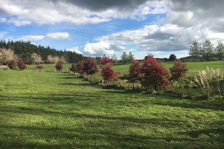 Photo of property in 255 Ararimu Valley Road, Helensville, Waimauku, 0882