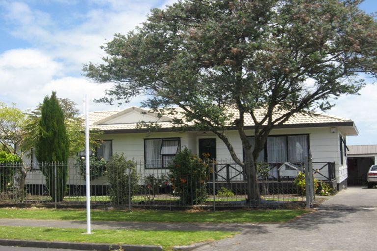 Photo of property in 173 Finlayson Avenue, Clendon Park, Auckland, 2103