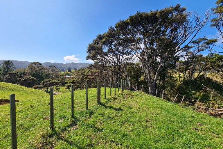 Photo of property in 110 Wood Road, Colville, Coromandel, 3584
