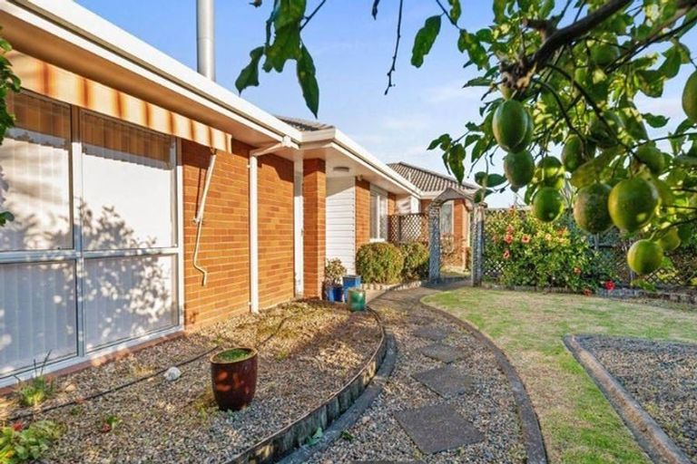 Photo of property in 5 Bayfair Drive, Mount Maunganui, 3116