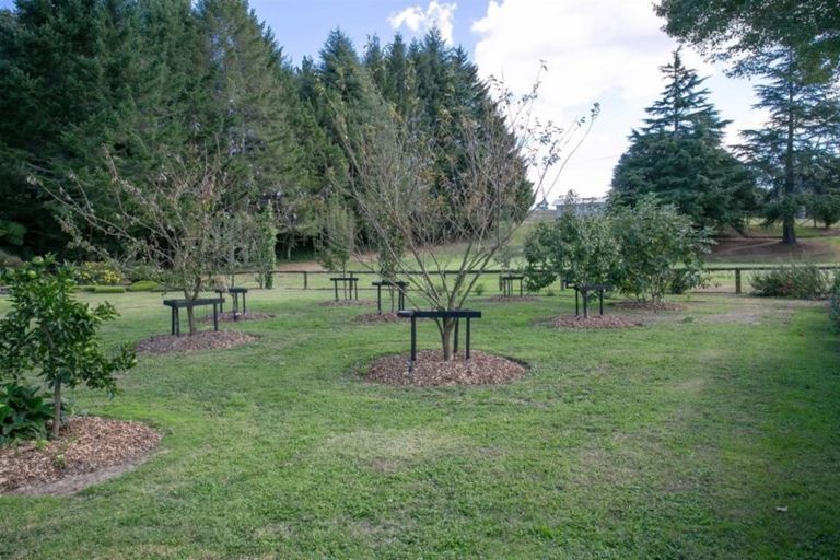 Photo of property in 117 Main Road, Tirau, 3410