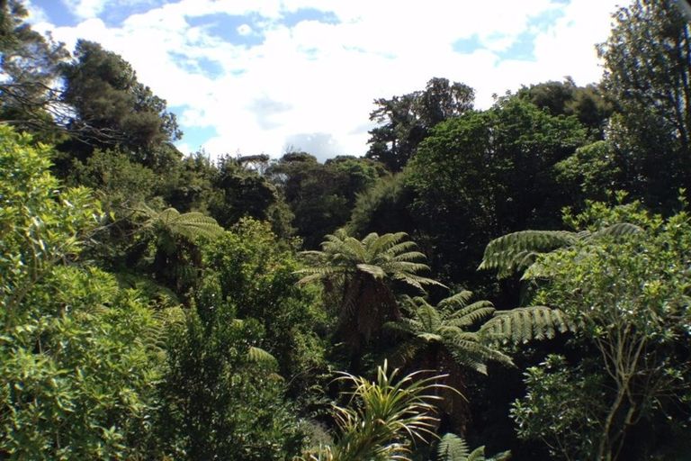 Photo of property in 55 Gatman Street, Birkdale, Auckland, 0626