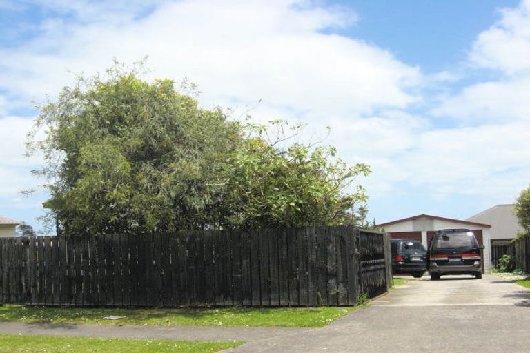 Photo of property in 175 Finlayson Avenue, Clendon Park, Auckland, 2103