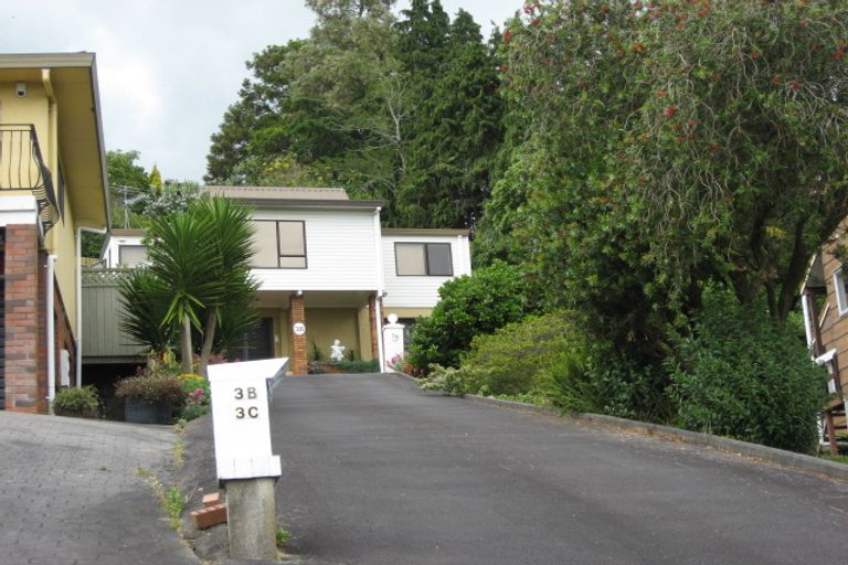 Photo of property in 3 Kowhai Place, Pukekohe, 2120