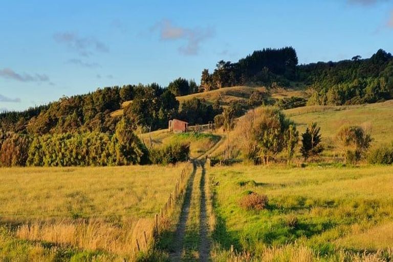 Photo of property in 74 Tarrant Road, Helensville, 0875