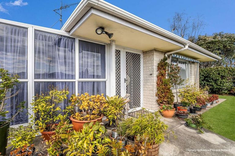Photo of property in 171b King Street, Whakatane, 3120