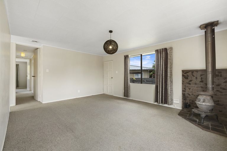 Photo of property in 253 Sinclair Terrace, Te Awamutu, 3800