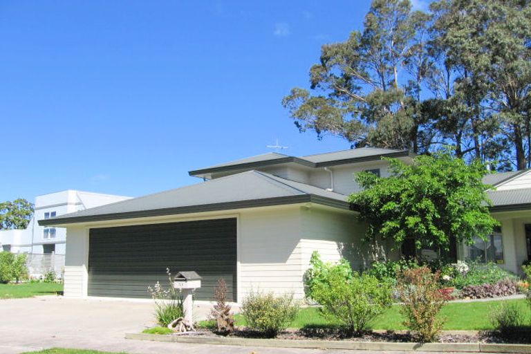 Photo of property in 51 Hillview Terrace, Mangapapa, Gisborne, 4010