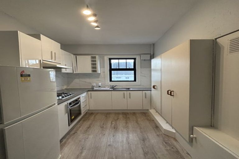 Photo of property in 24u9 Elizabeth Street, Mount Victoria, Wellington, 6011