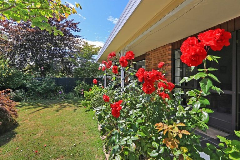 Photo of property in 3/33 Avondale Road, Taradale, Napier, 4112