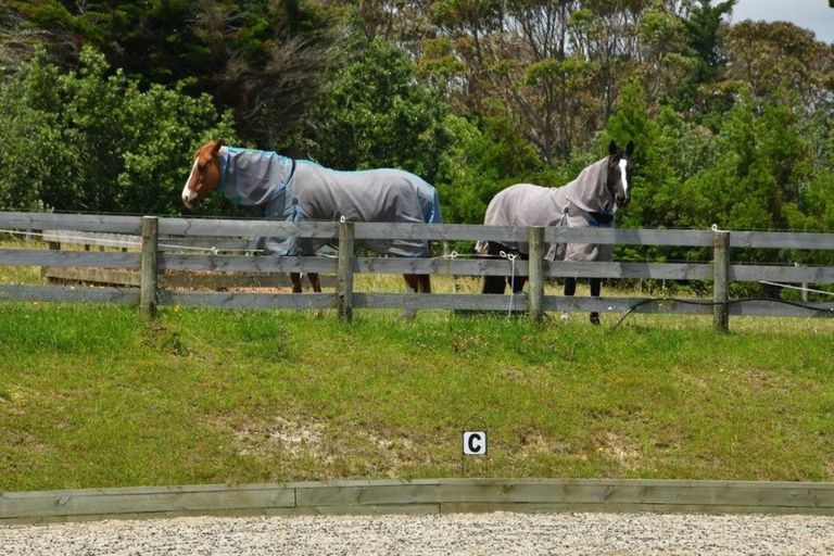 Photo of property in 639 Peak Road, Helensville, 0875