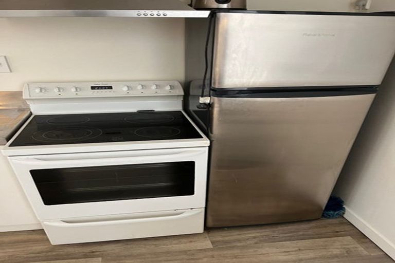 Photo of property in 282 Queens Drive, Lyall Bay, Wellington, 6022