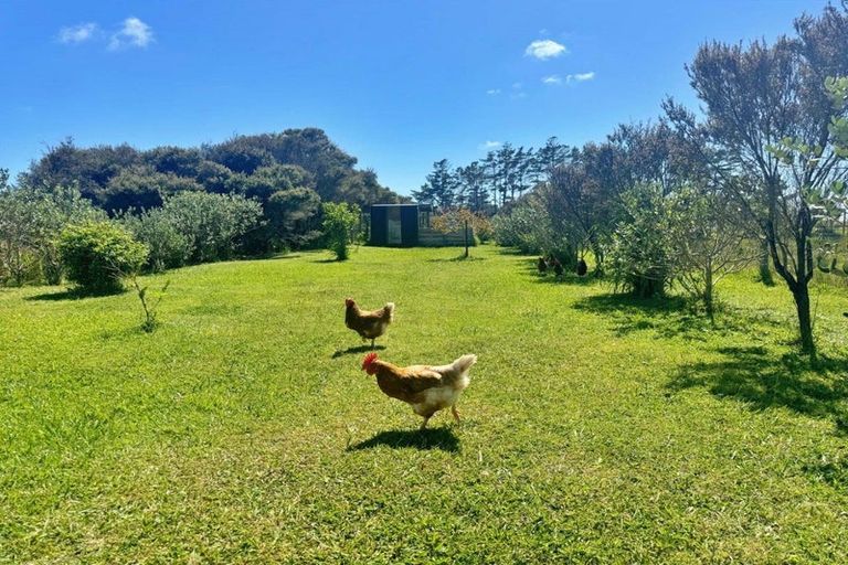 Photo of property in 83 Mcmanus Road, Houhora, Pukenui, 0484