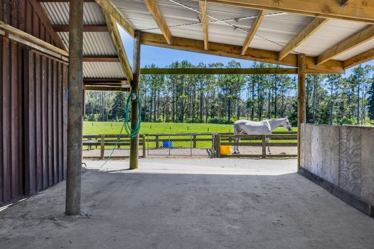 Photo of property in 1 Waingongoro Road, Cardiff, Stratford, 4391