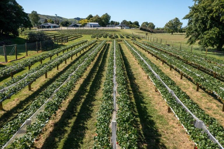 Photo of property in 529b Te Puke Highway, Te Puke, 3187