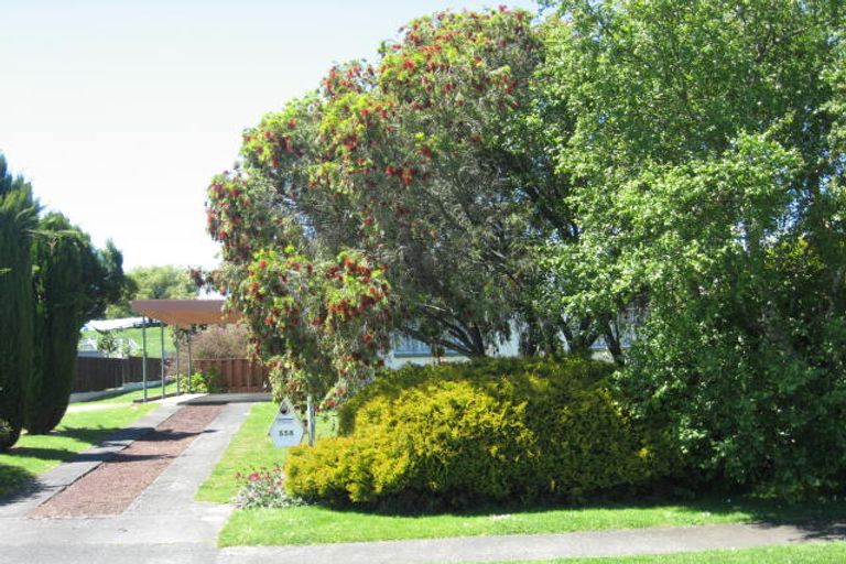 Photo of property in 558 Picquet Hill Road, Te Awamutu, 3800