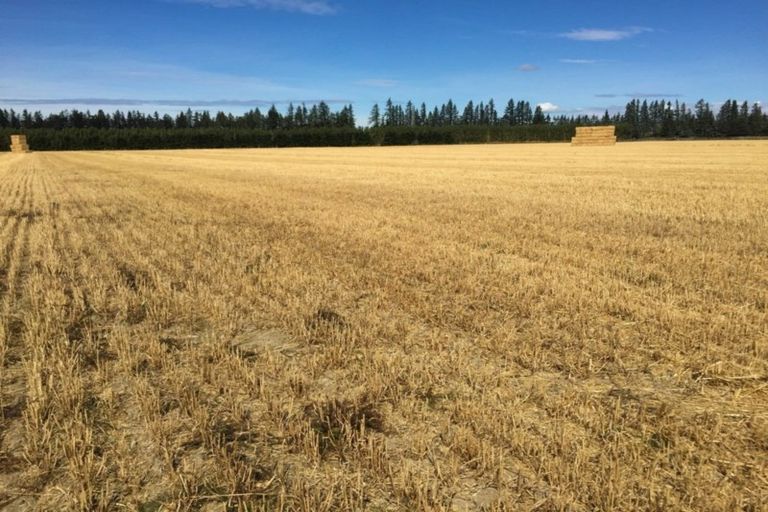 Photo of property in 80 Mount Hutt Station Road, Methven, 7782