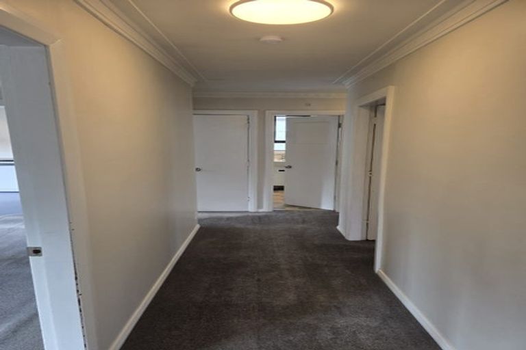 Photo of property in 11 College Street, Caversham, Dunedin, 9012