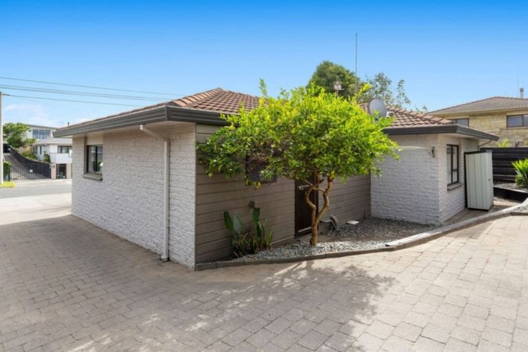 Photo of property in 219 Valley Road, Mount Maunganui, 3116