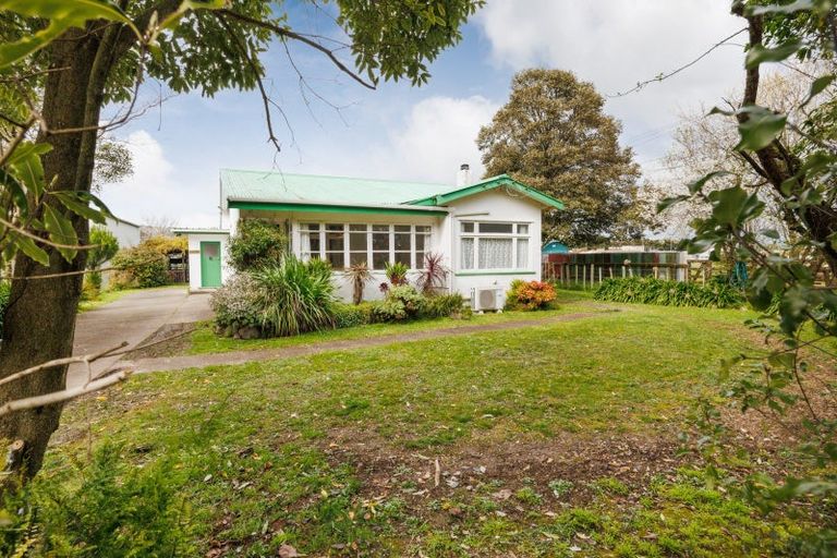 Photo of property in 111 Mulgrave Street, Ashhurst, 4810