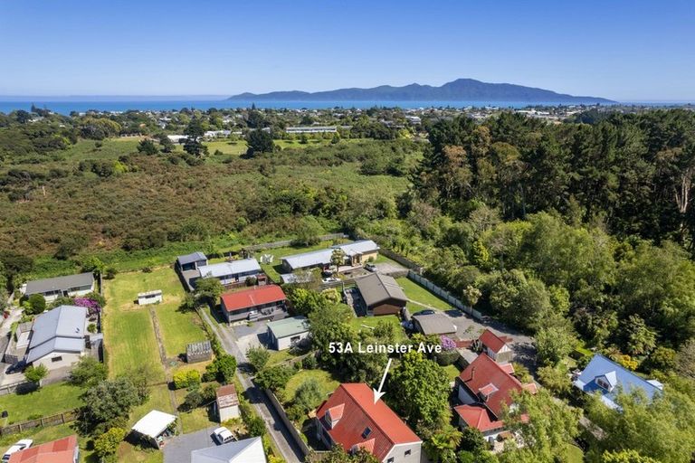 Photo of property in 53a Leinster Avenue, Raumati South, Paraparaumu, 5032