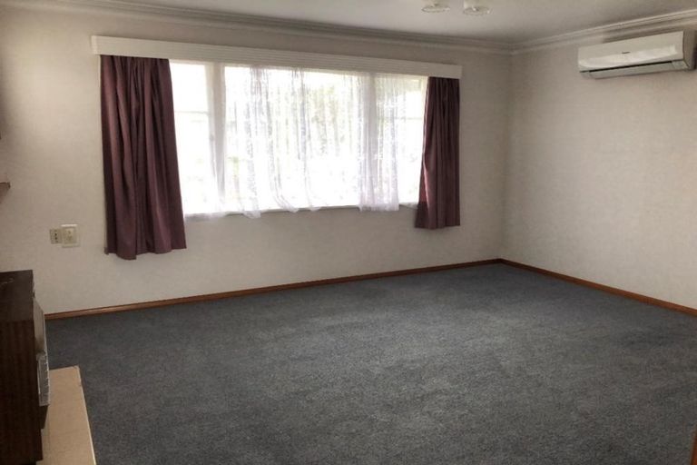 Photo of property in 19 Green Avenue, Levin, 5510