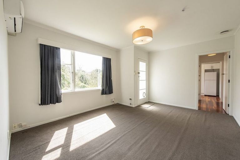 Photo of property in 3/16 Farnham Street, Mornington, Wellington, 6021