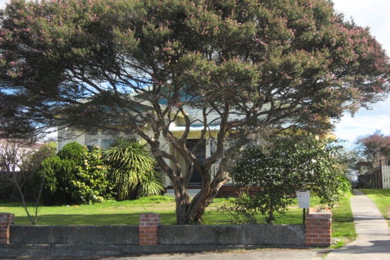 Photo of property in 36 Kenilworth Street, Waipawa, 4210