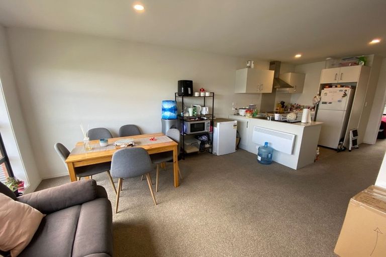 Photo of property in 17 Owens Place, Mount Maunganui, 3116
