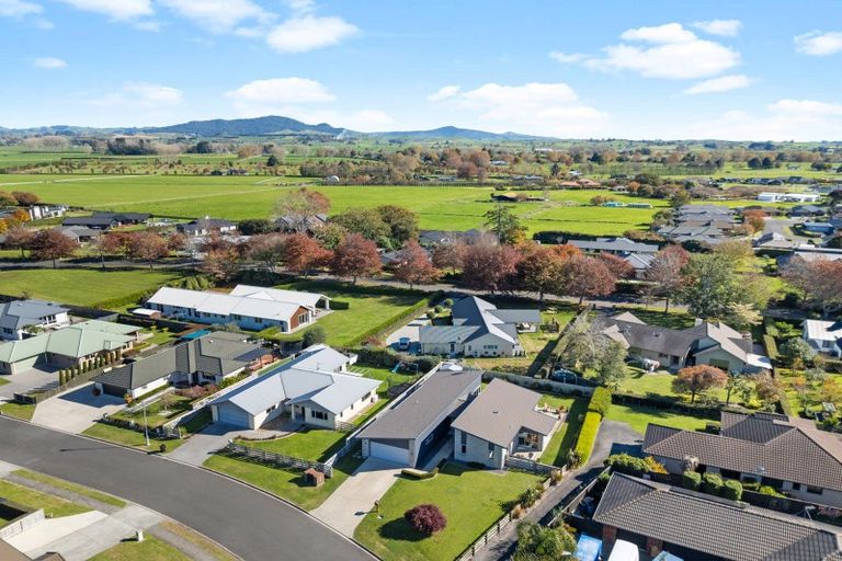 Photo of property in 12 Mckenzie Place, Matamata, 3400