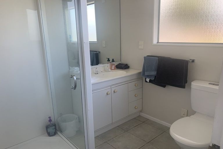 Photo of property in 26a Campbell Road, Mount Maunganui, 3116