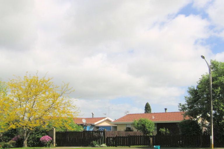 Photo of property in 21 Turnbull Crescent, Morrinsville, 3300