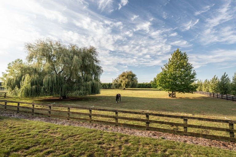 Photo of property in 81 Racecourse Road, Cambridge, 3493