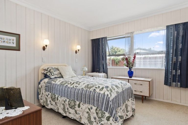 Photo of property in 224 Fourteenth Avenue, Tauranga South, Tauranga, 3112