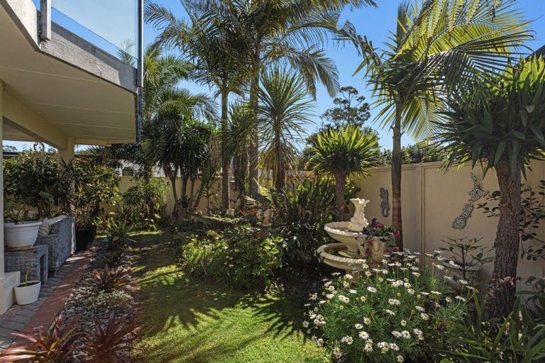 Photo of property in 53 Pohutukawa Avenue, Ohope, 3121